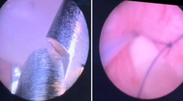 Ekran görüntüsü 2023-03-06 135602